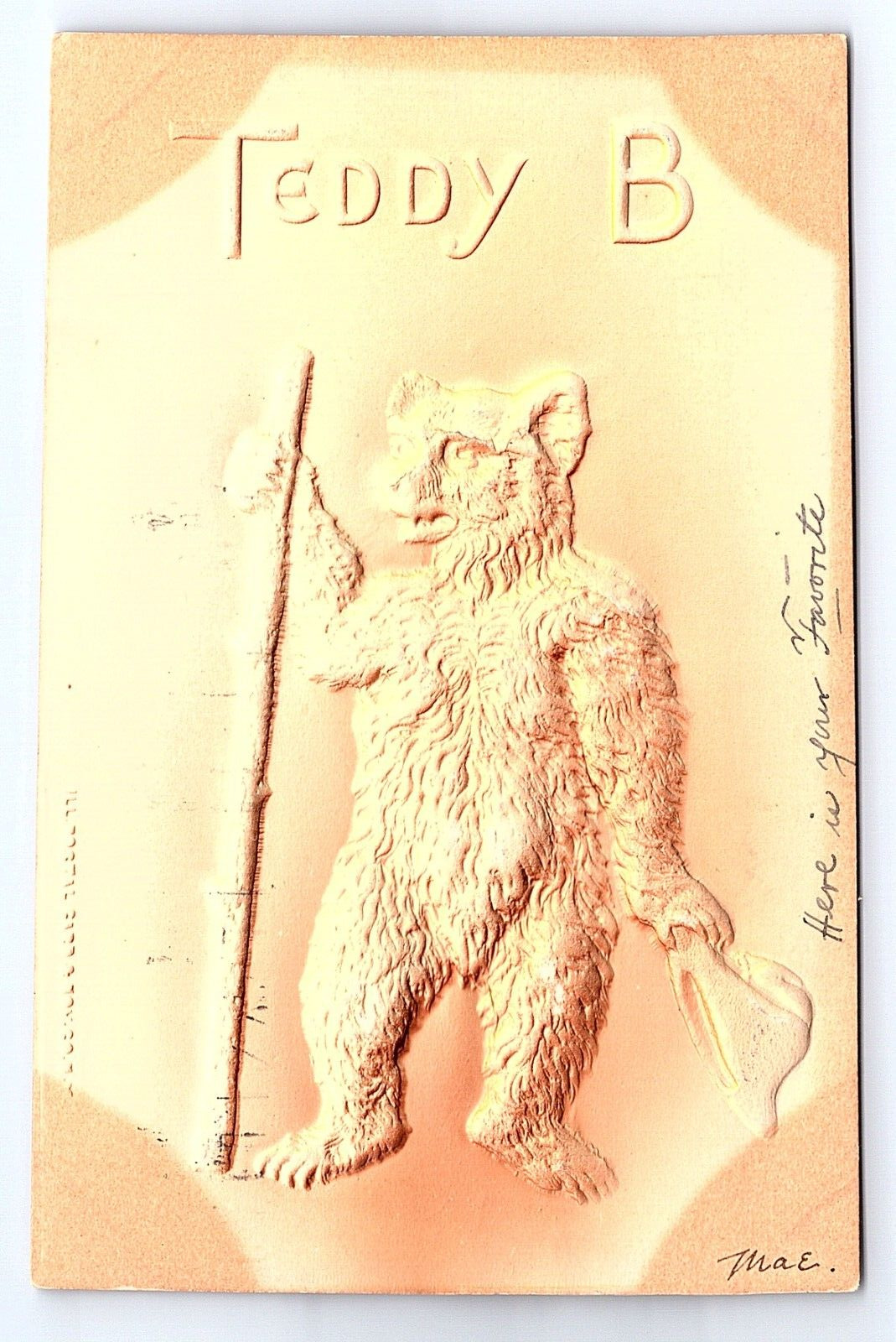Postcard Teddy B w/ Walking Stick Embossed Raised c.1907 or Earlier