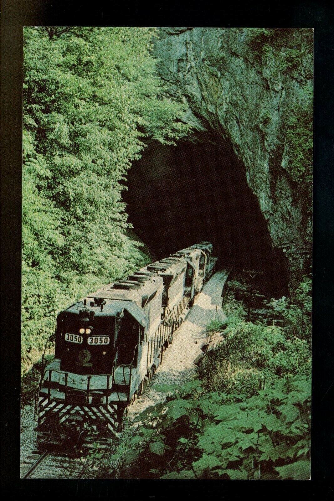 Train Railroad postcard Freight Diesel Natural Tunnel Park Clinchport, Virginia 