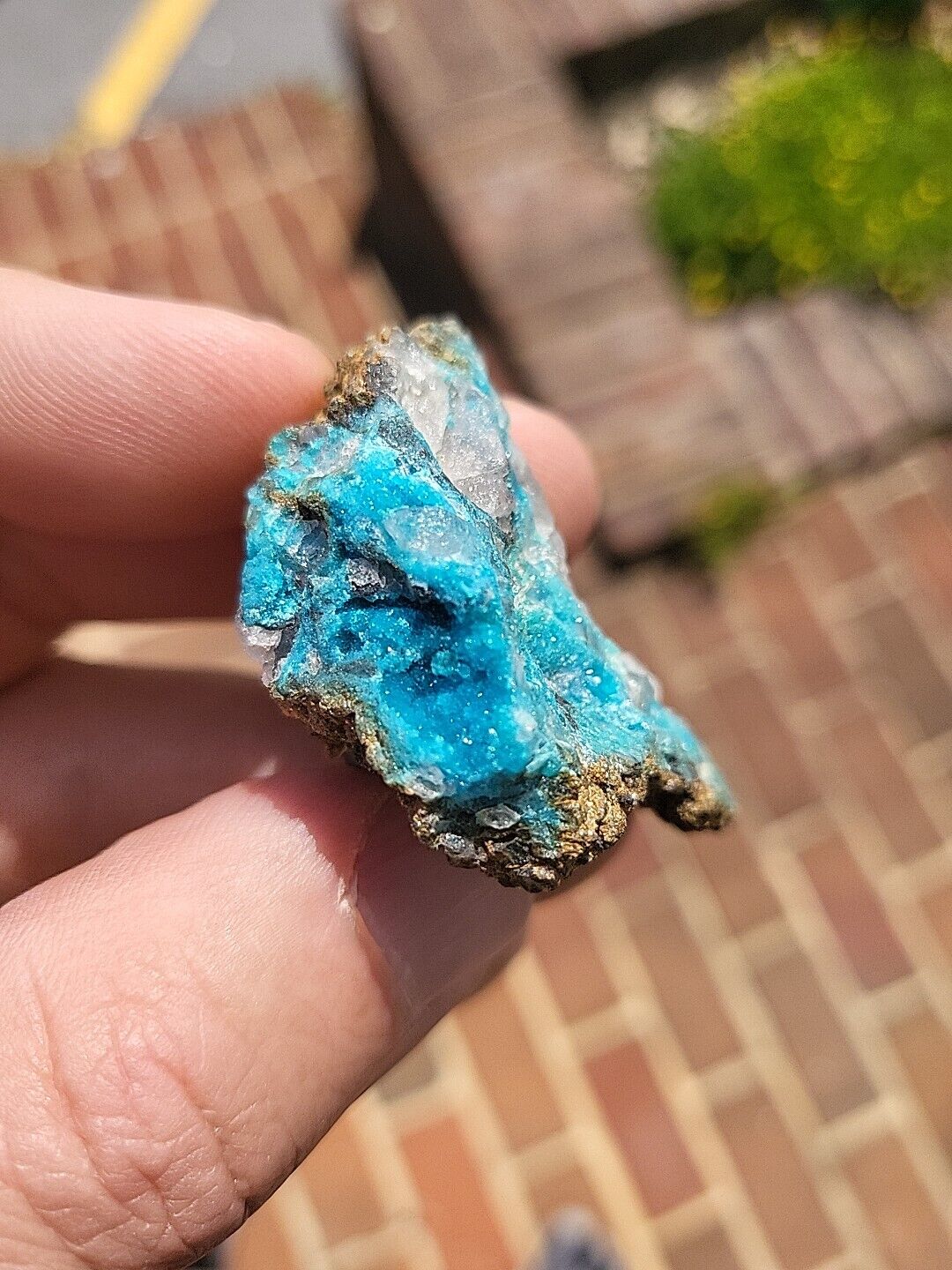 Turquoise crystals, Bishop Mine, Virginia