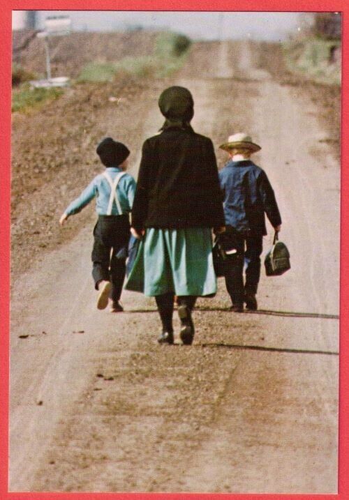 Headed Home Amish Children Walking Back Home From School Pennsylvania Postcard