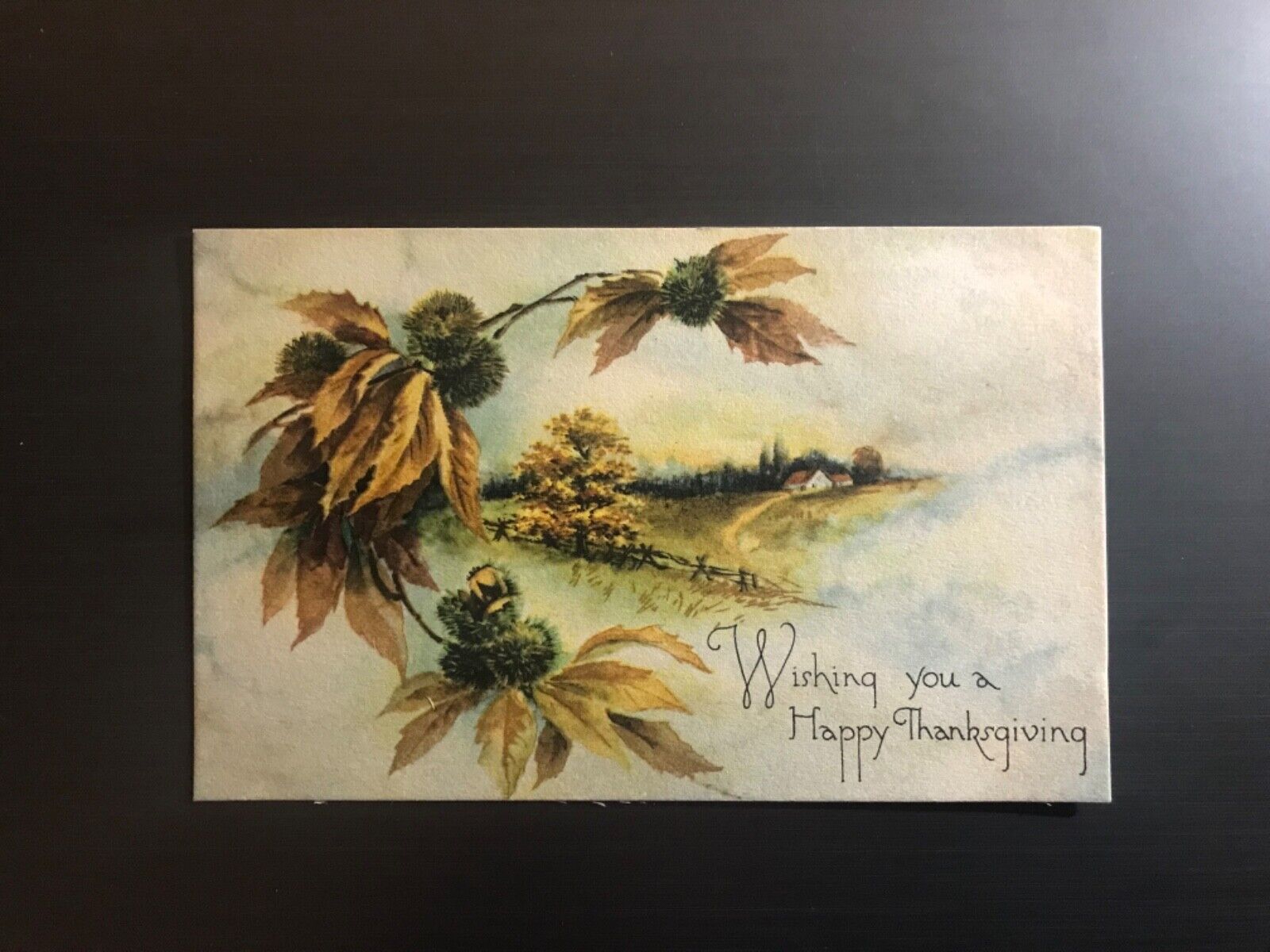 Postcard Wishing You a Happy Thanksgiving 