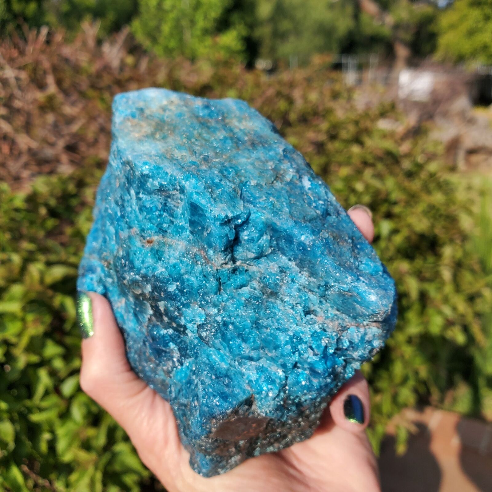 Gemmy Blue Raw Apatite Crystal Rough Stone Rock Bright Blue | 1290 Grams | 2lbs