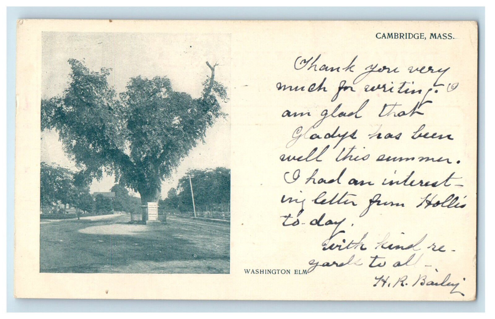 1905 Washington Elm Cambridge Massachusetts MA Zoar MA PMC Postcard