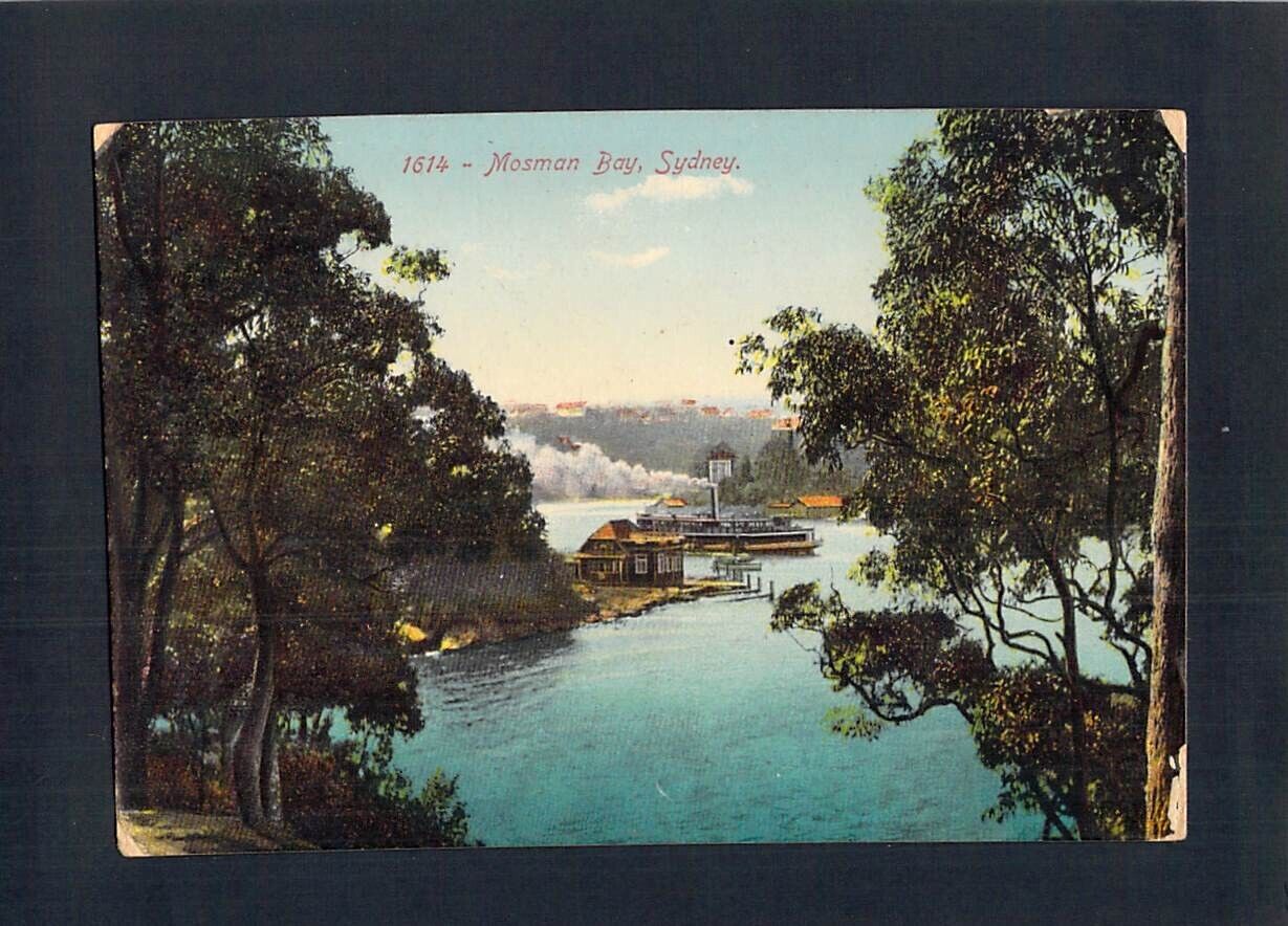 D2532 Australia NSW Mosman Bay Sydney Ferry Nature Series vintage postcard