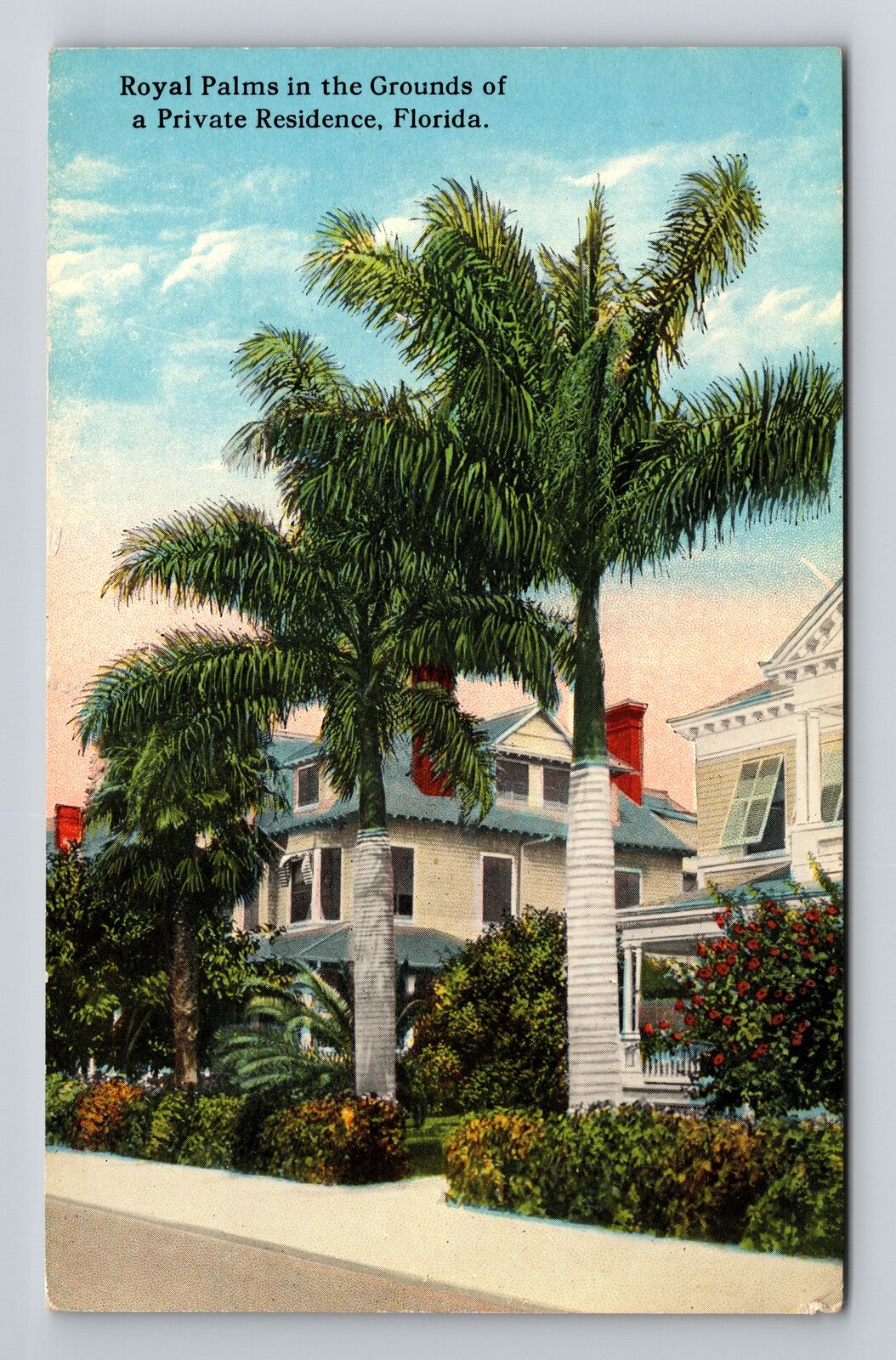 FL-Florida, Royal Palm in the Grounds a Private Residence, Vintage Postcard
