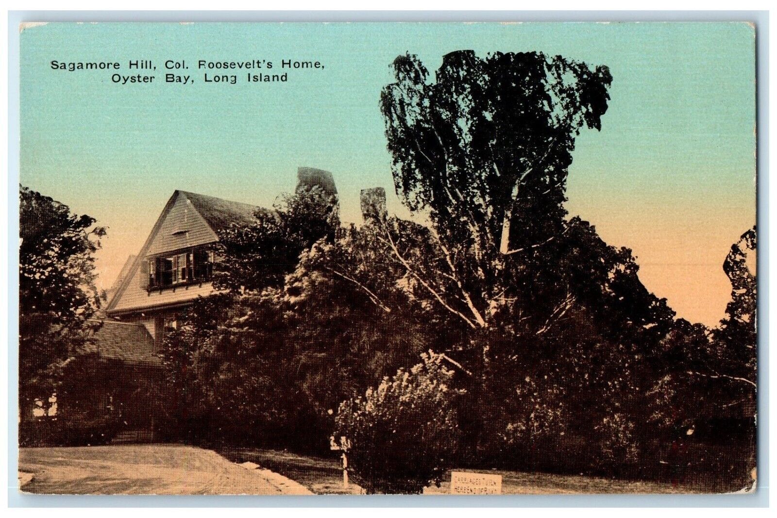 c1910's Sagamore Hill Co. Roosevelt's Home Oyster Bay Long Island NY Postcard