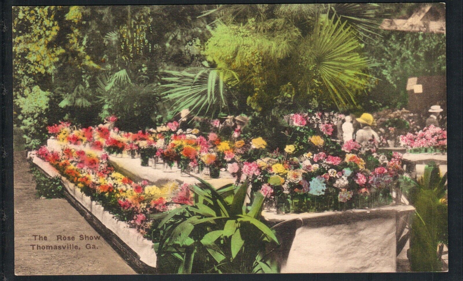 THOMASVILLE, GA * THOMAS COUNTY  ~ THE ROSE SHOW * VINTAGE UNPOSTED HAND COLORED