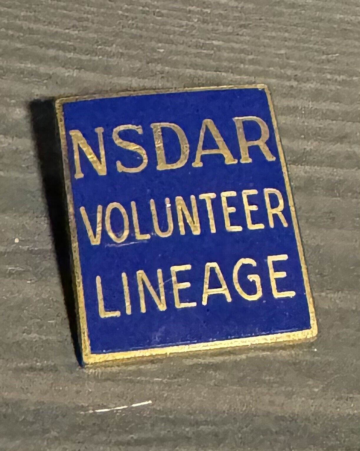 NSDAR volunteer Lineage Pin