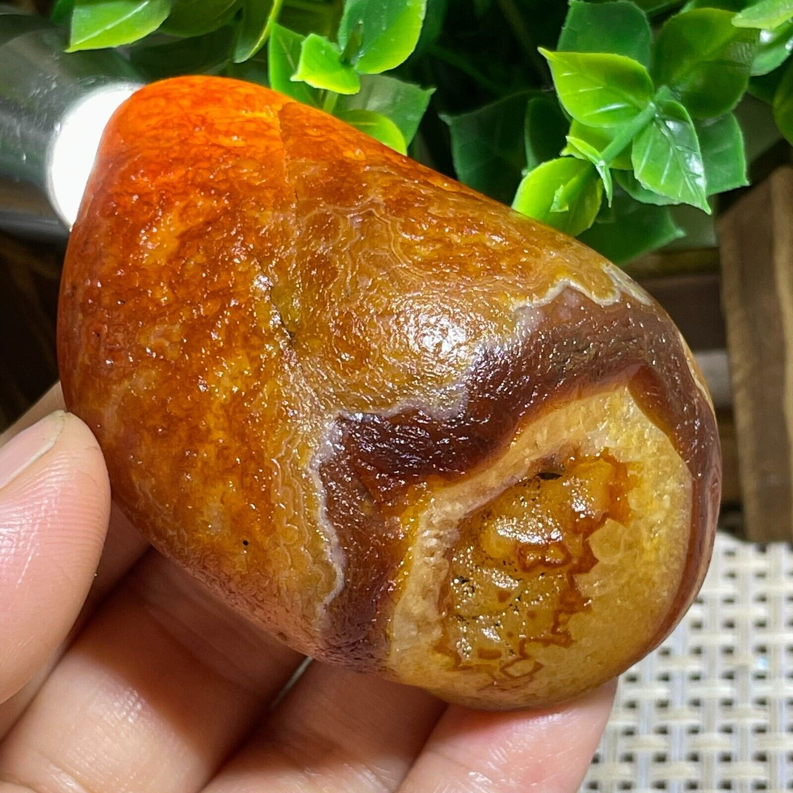 Top Bonsai Suiseki-Natural Gobi Agate Eyes Stone-Rare Stunning Viewing 141g A16
