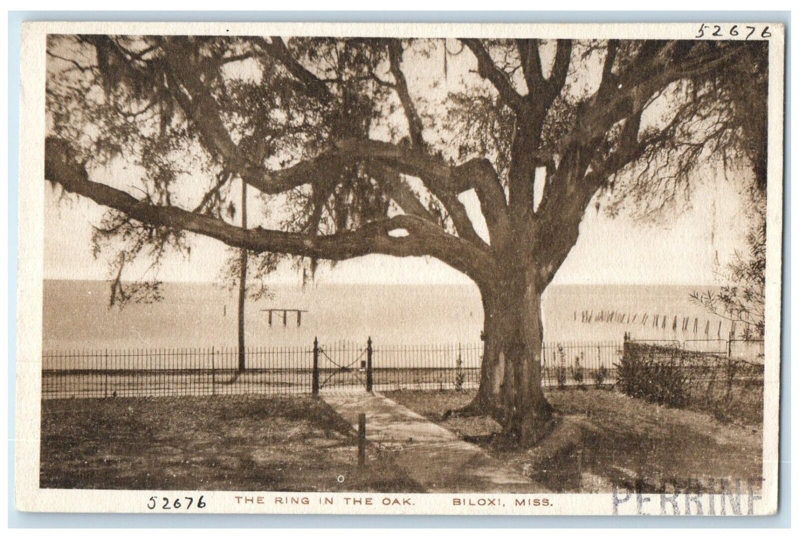 c1930's The Ring In The Oak Biloxi Mississippi MI Unposted Vintage Postcard