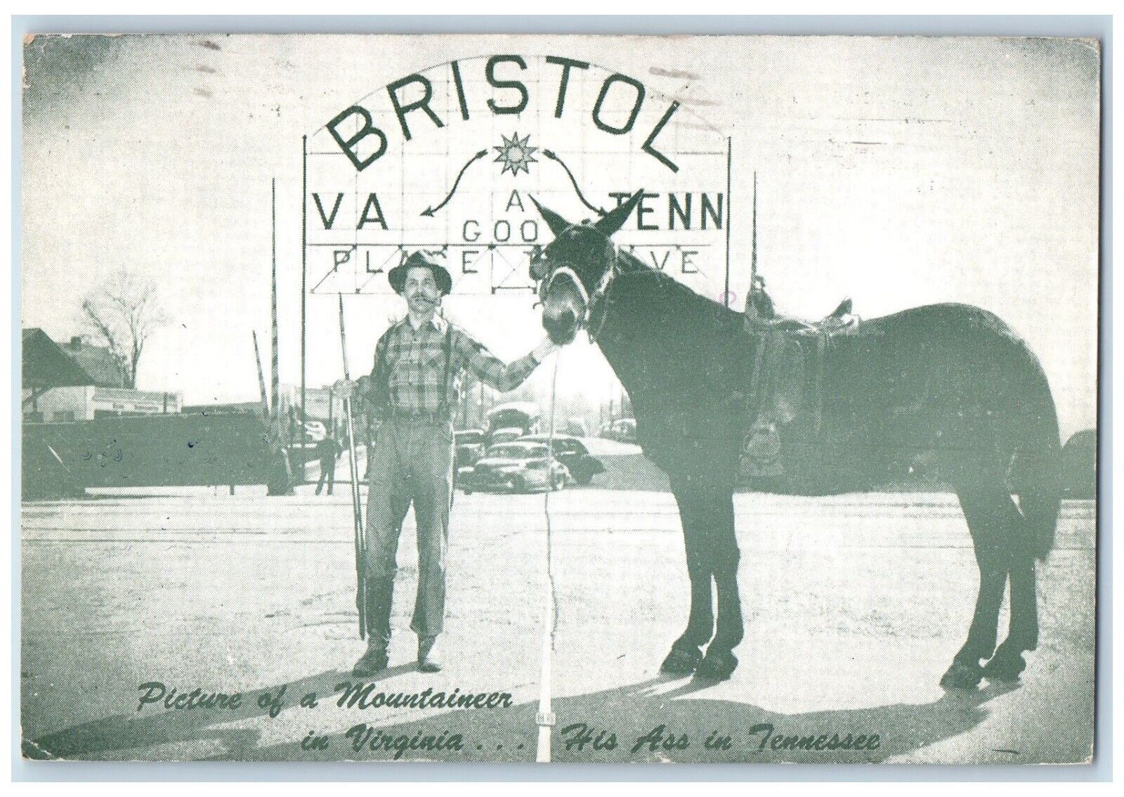 1961 Ass, Mountaineer in Virginia The Twin City Bristol VA-TN Postcard