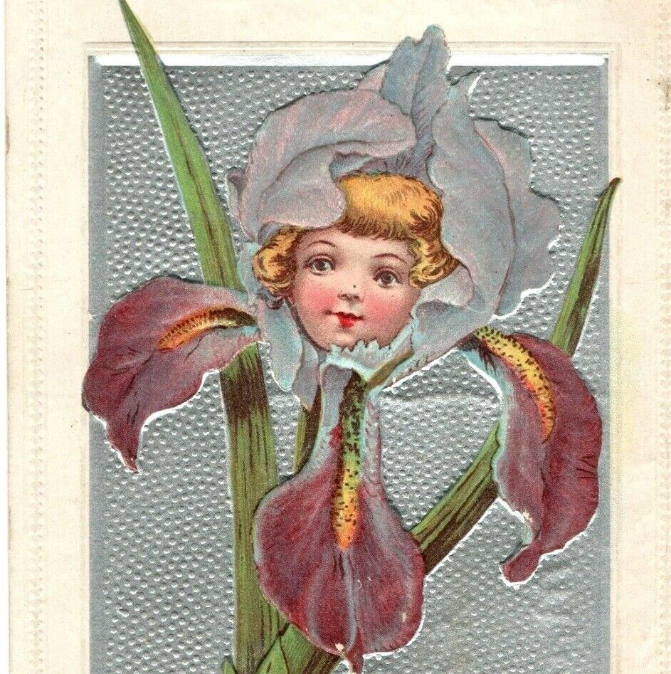1908 Birthday Greetings Lovely Anthropomorphic Iris Face Flower Antique Postcard