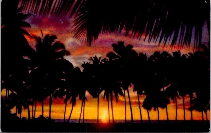 Postcard The Red Glow of a Fiery Sunset Silhouetted by Palm Trees Hawaii HI 1088