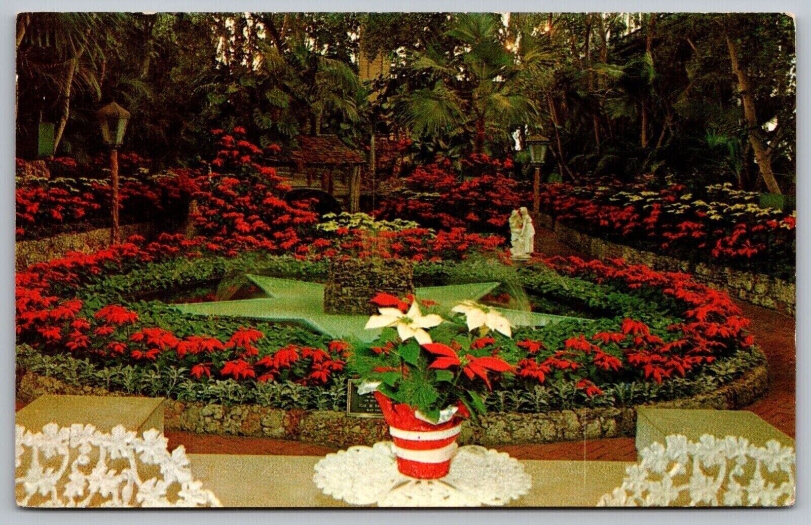 Christmas Display Jewel Box Forest Park Saint Louis Missouri Flower VNG Postcard