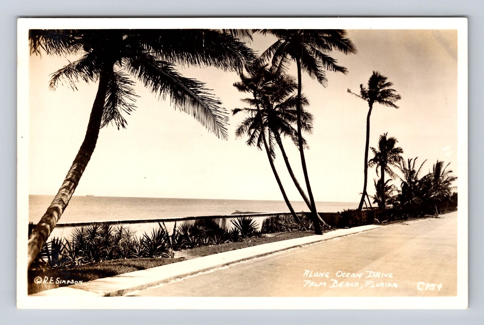 Palm Beach FL-Florida RPPC, Along Ocean Drive, Antique, Vintage Postcard