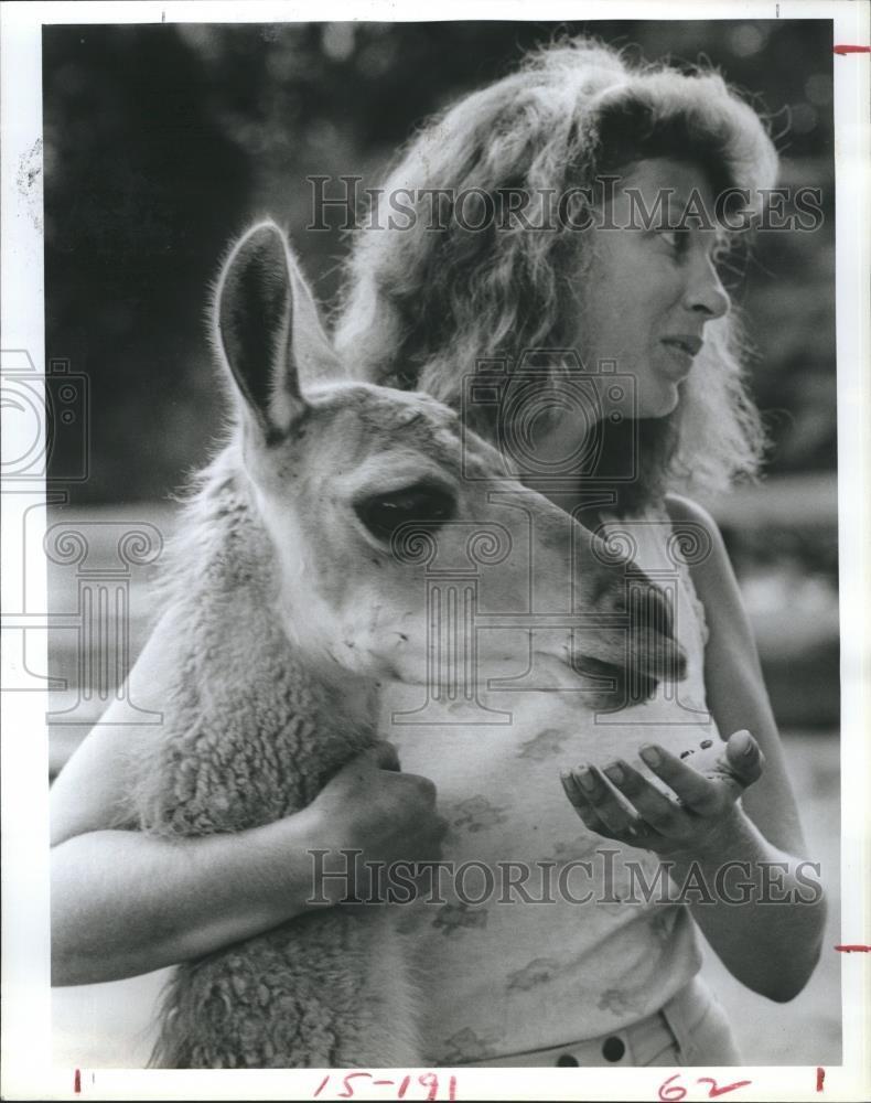 1985 Press Photo Jill Runkel with family pet llama \