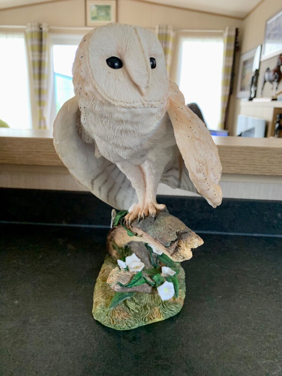 Country Artists “Barn Owl” CA00242
