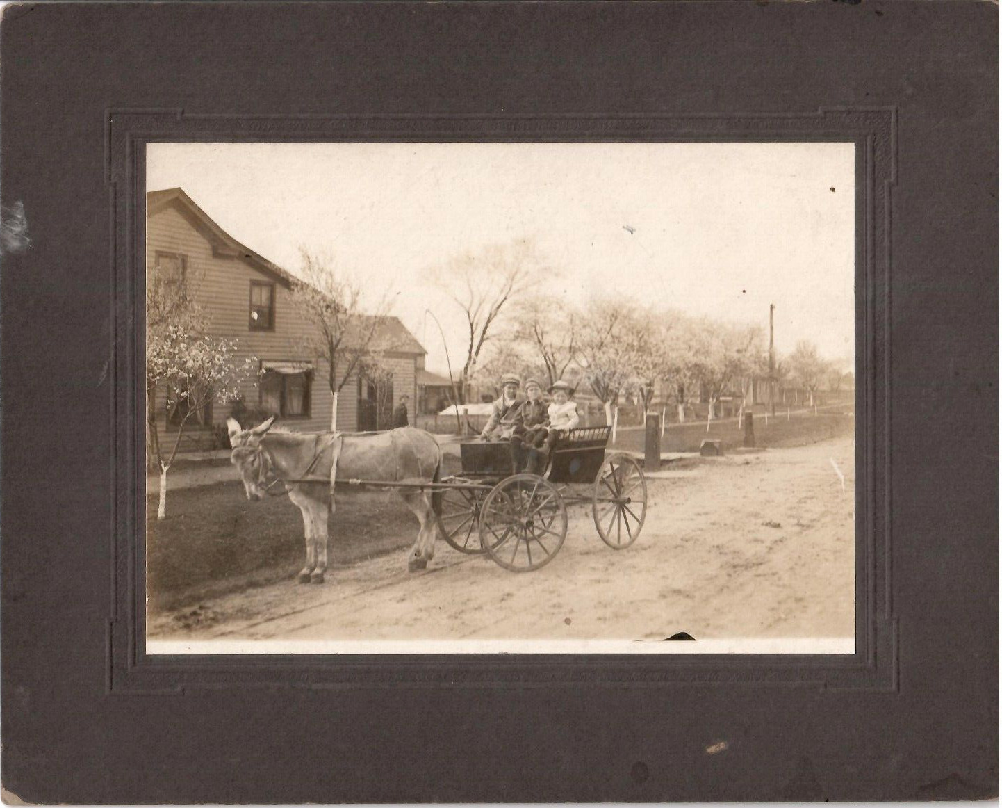Late 19\'th century cabinet card black and white photo donkey pulling cart 5x7