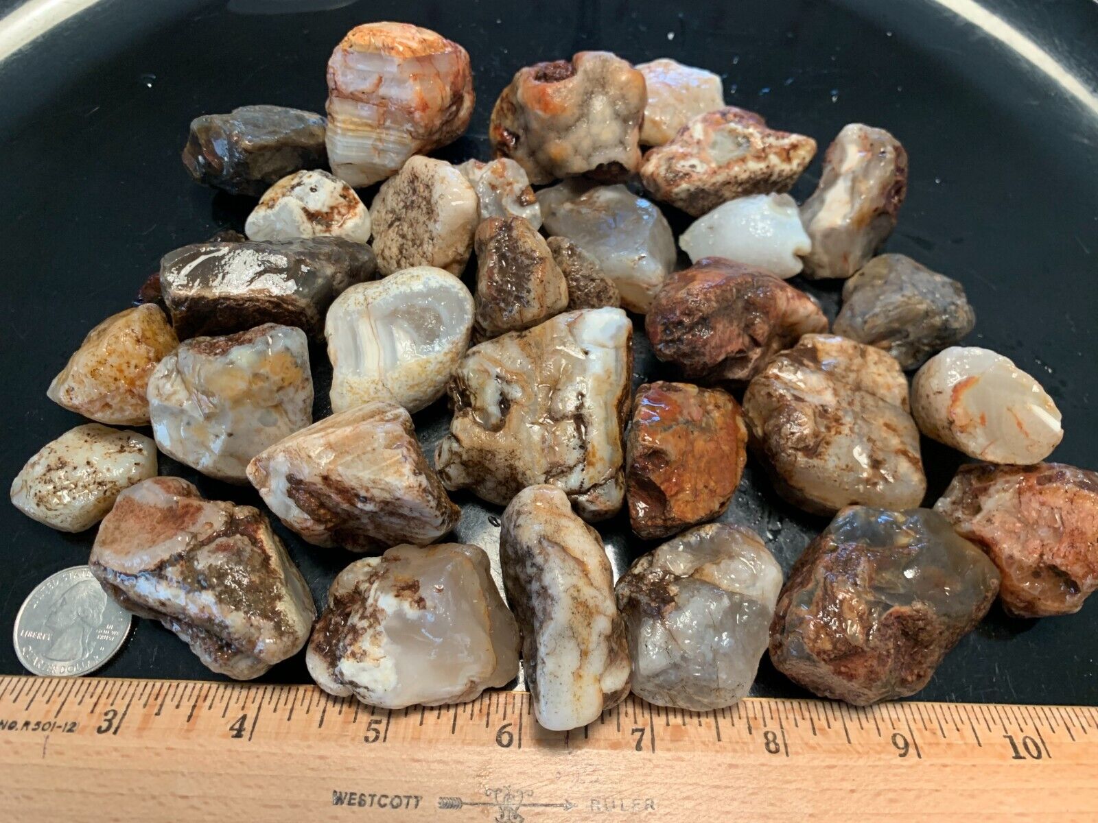 Rough Ellensburg Agate Lot G - 2 Pounds for Tumbling - Lapidary - Cabbing