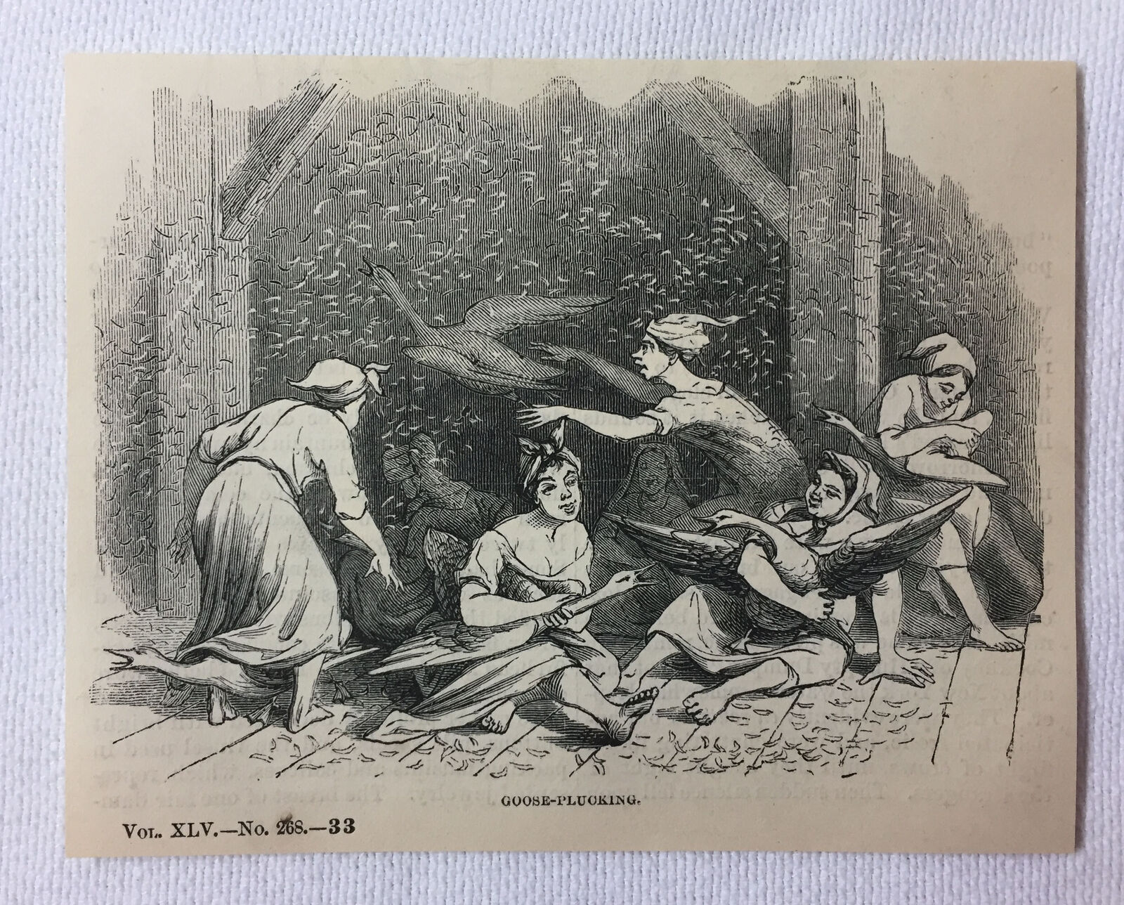 1872 magazine engraving ~ WOMEN PLUCKING GEESE