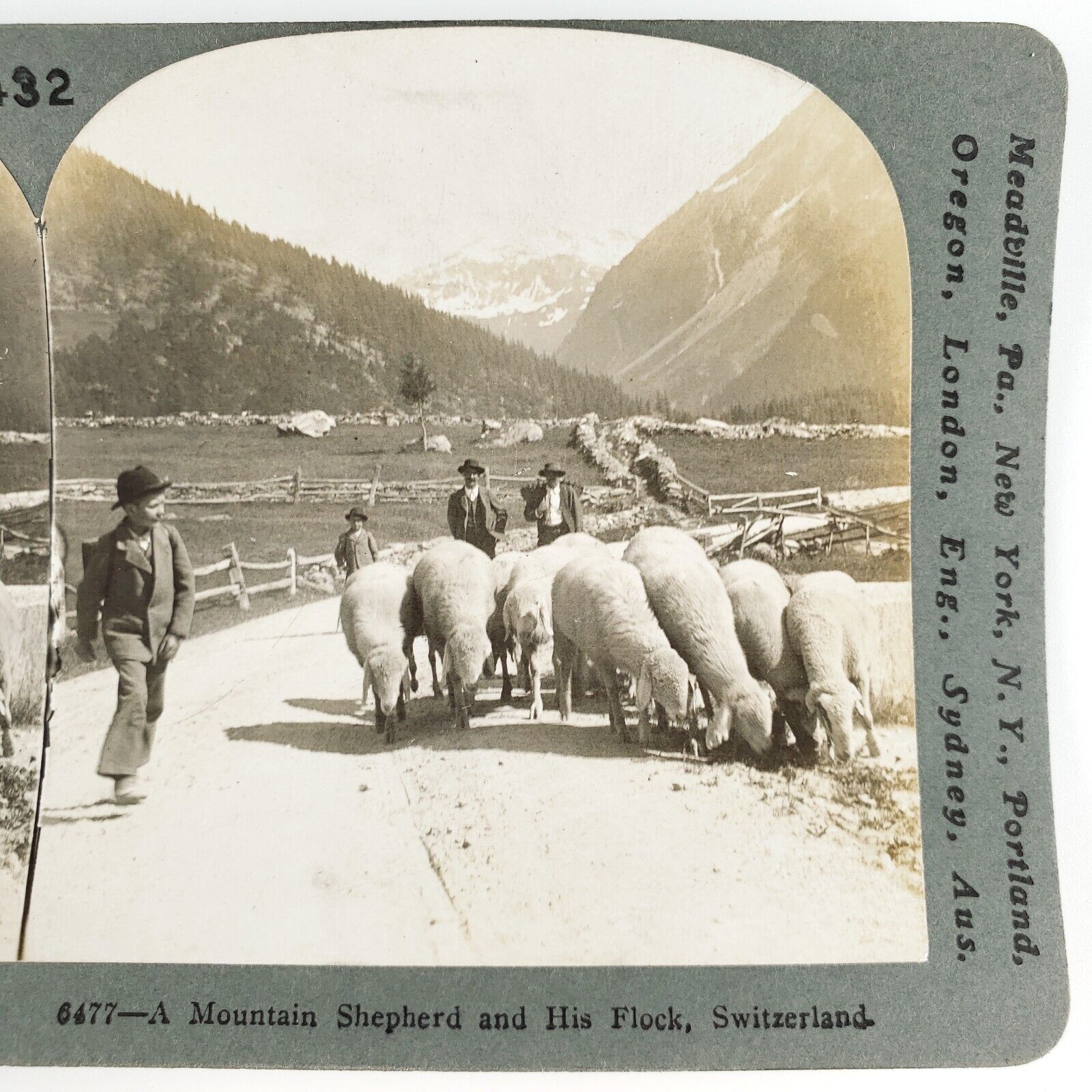 Mountain Shepherd & Flock of Sheep Stereoview c1905 Switzerland Farm Road A2746