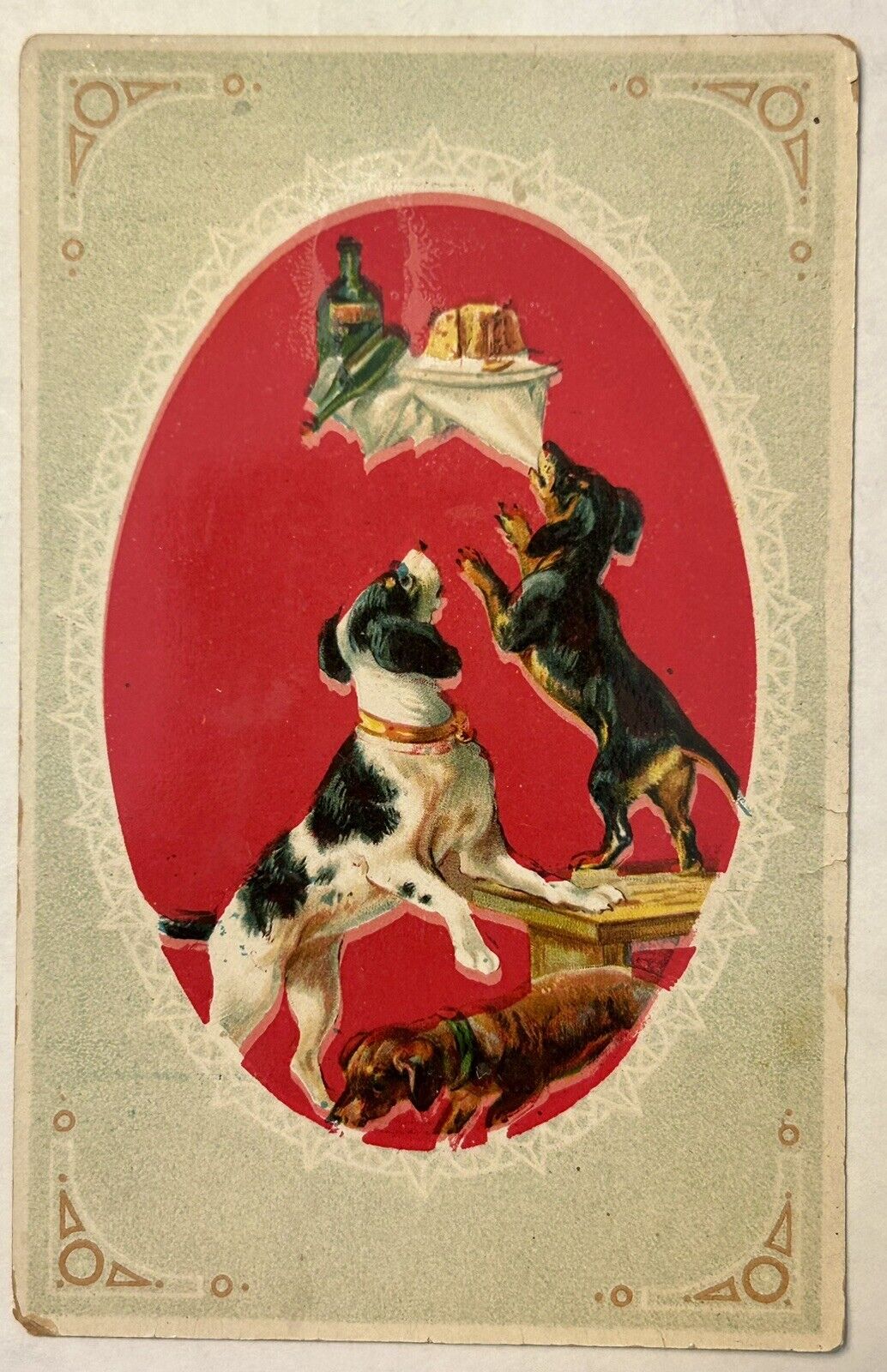 Three Dogs With Dinner Tray 1913 Vintage ￼Postcard