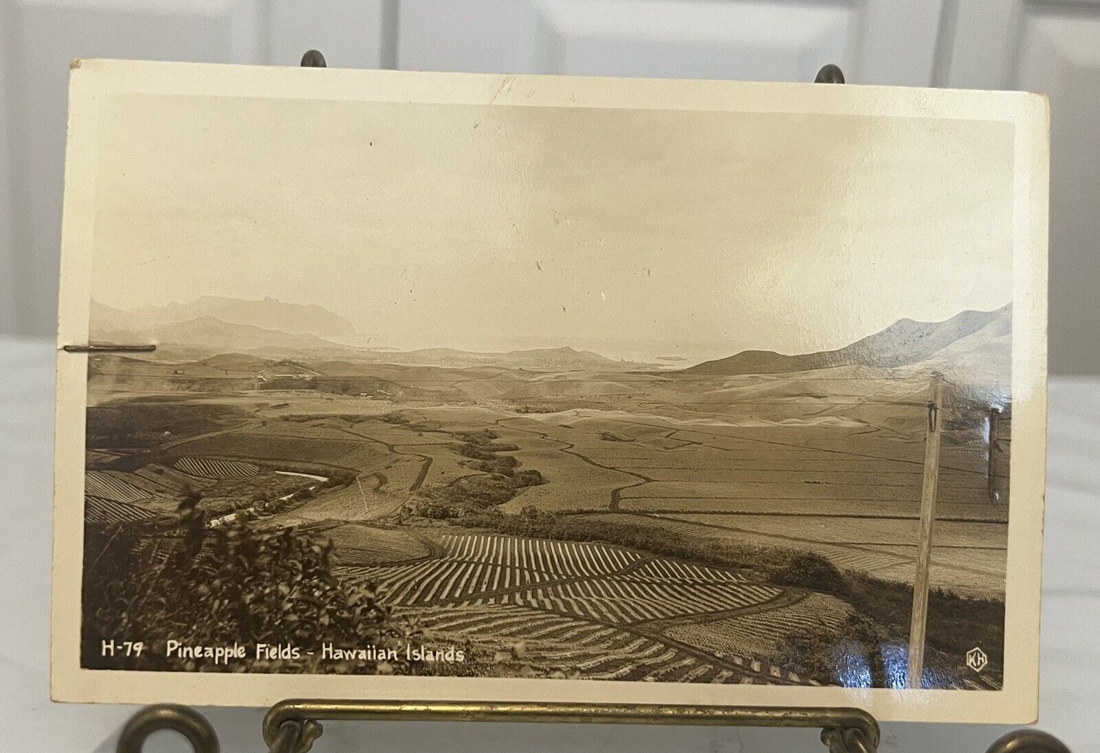 Rare Vintage Pineapple Fields Hawaiian Islands Hawaii Postcard Has Been Stapled