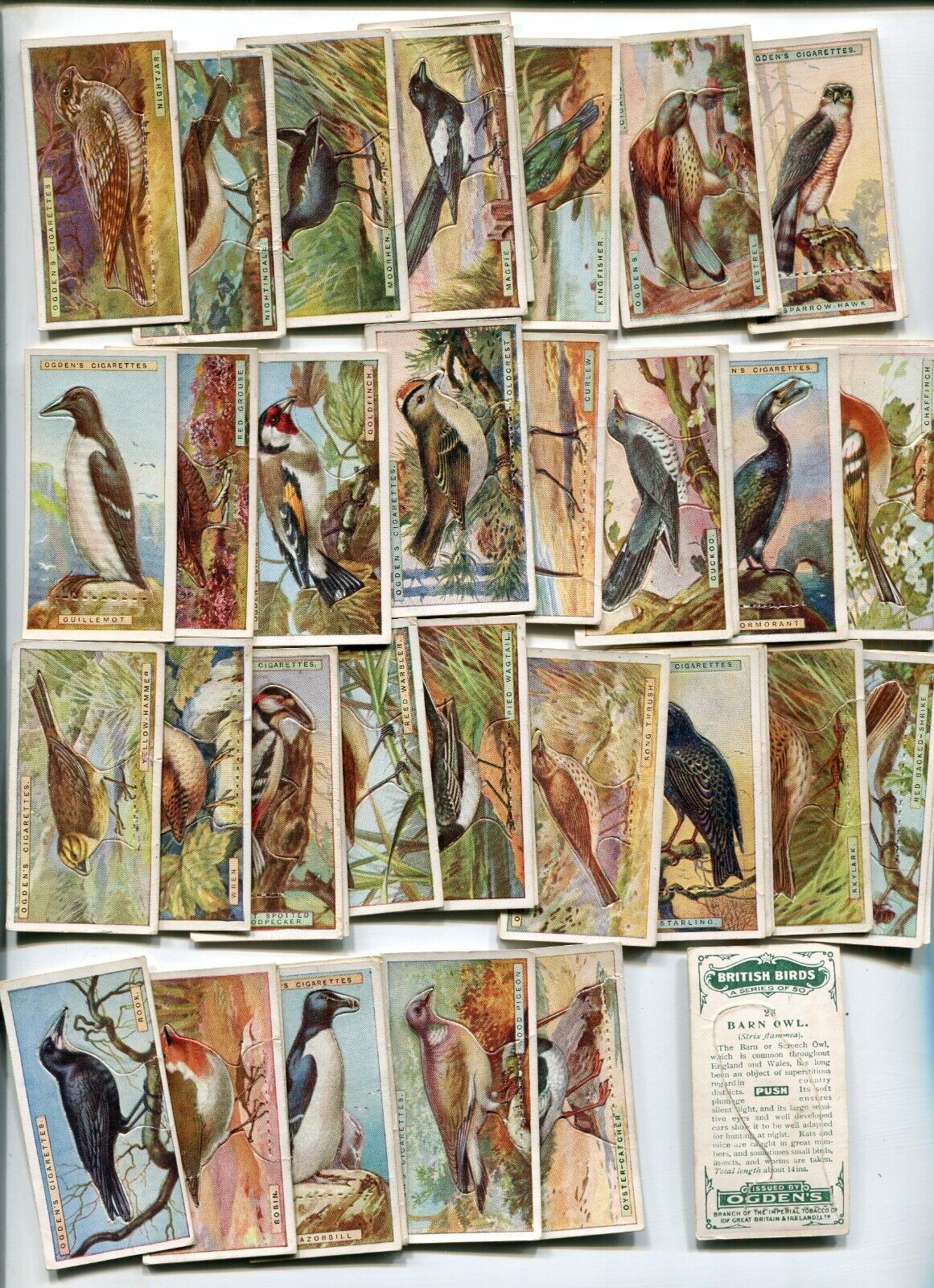 1923 OGDEN'S CIGARETTES BRITISH BIRDS STAND-UPS COMPLETE 50 TOBACCO CARD SET