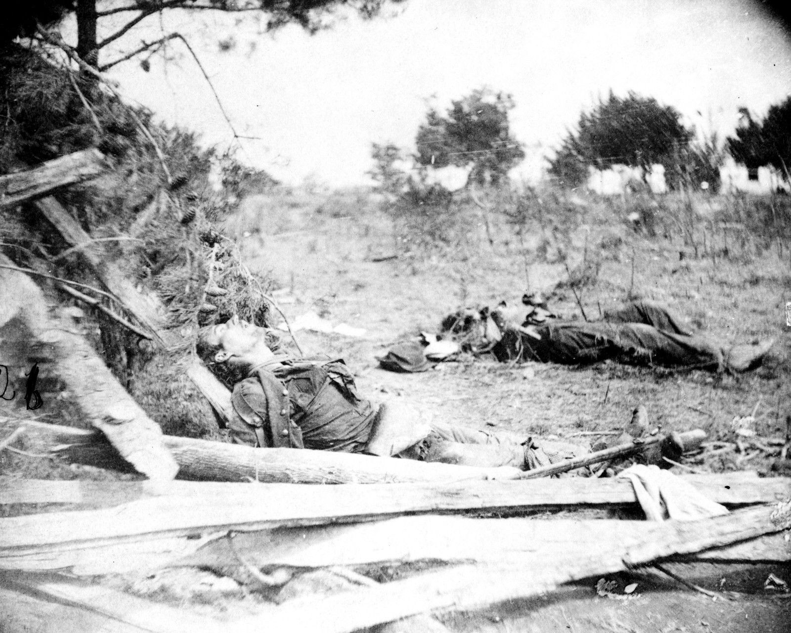Dead Confederate Soldiers Ewell\'s Attack Spotsylvania - 8x10 Civil War Photo