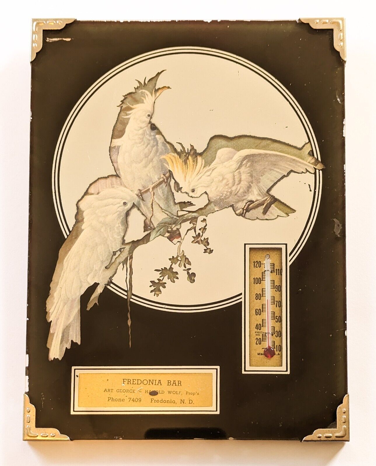 1930s Black Advertising Mirror w/ Thermometer feat Cockatiels • Fredonia, ND Bar