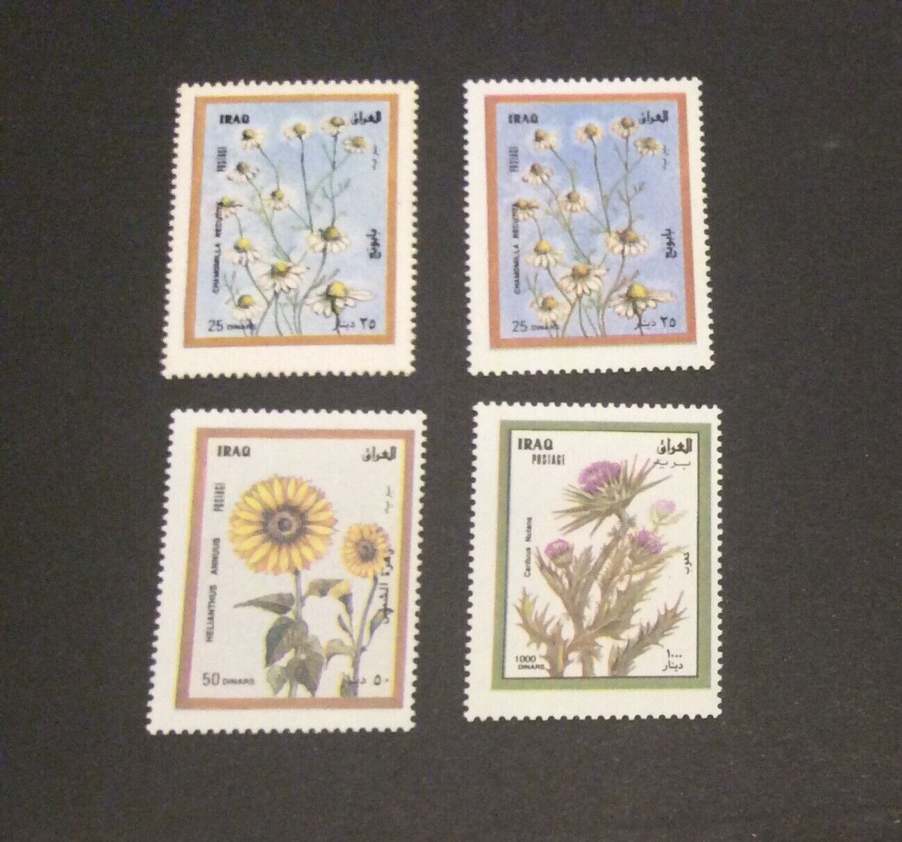Iraq Stamp Flower 1998 MNH