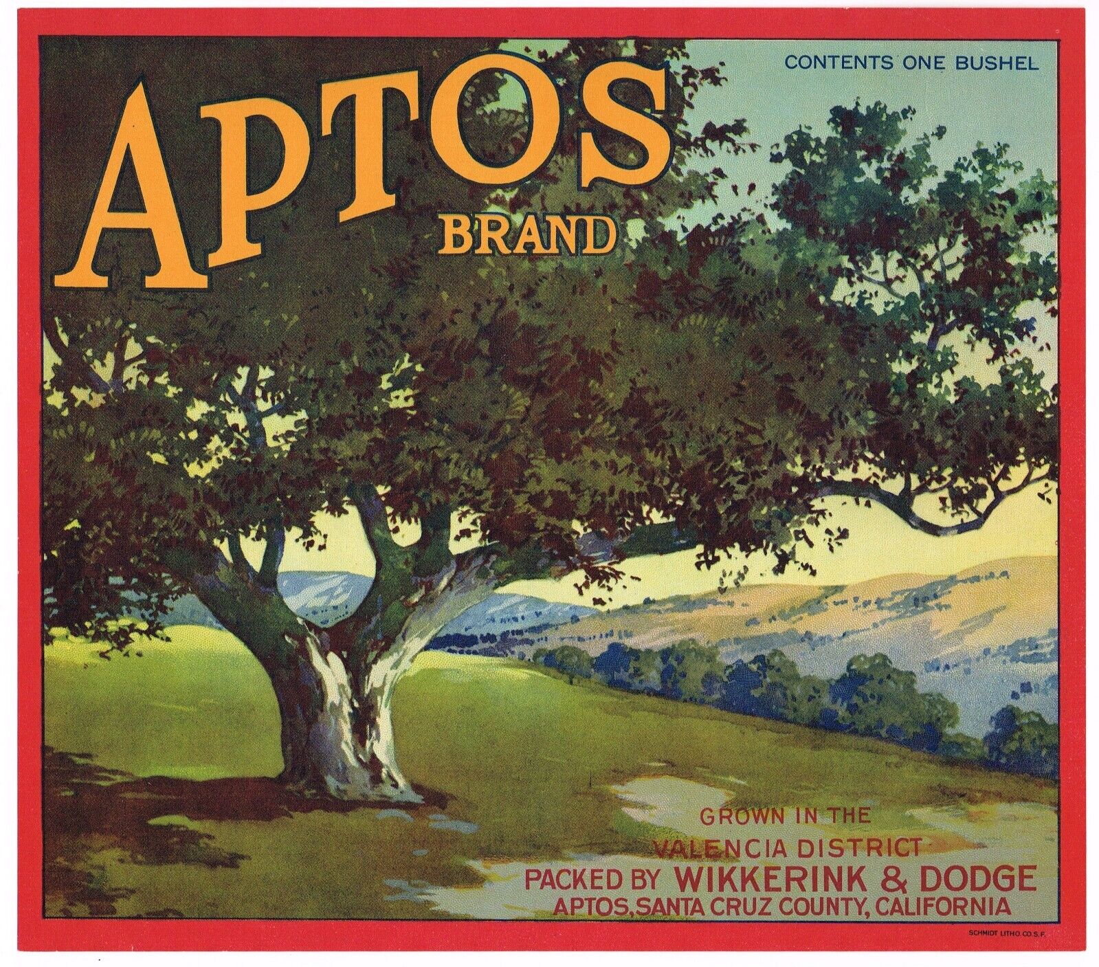 ORIGINAL 1920S APPLE CRATE LABEL APTOS SANTA CRUZ COUNTY CALIFORNIA RARE+++