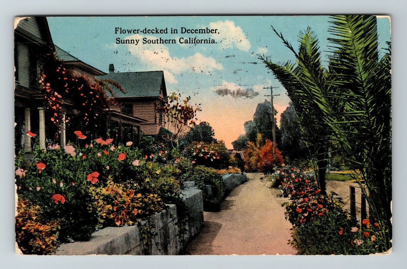Southern CA-California, Flower Decked In December Vintage Souvenir Postcard