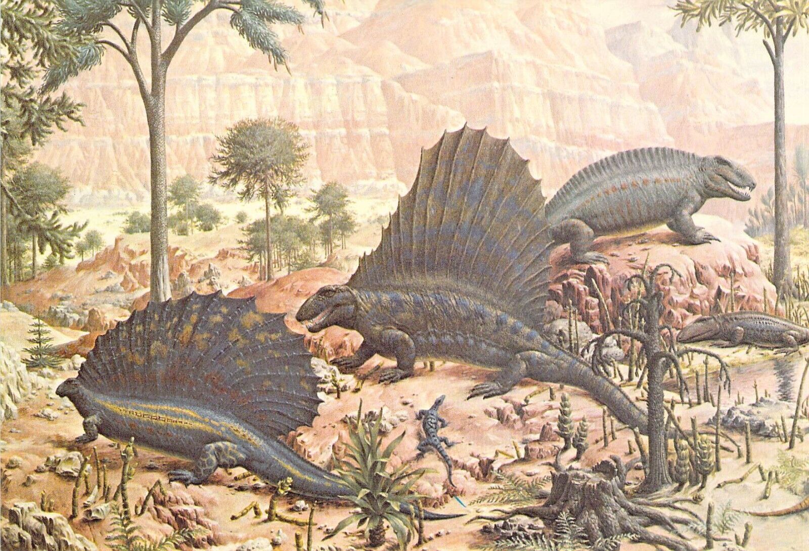 1977 Peabody #2  Museum Reptiles Mural 3 Dinosaur 4x6 postcard L157