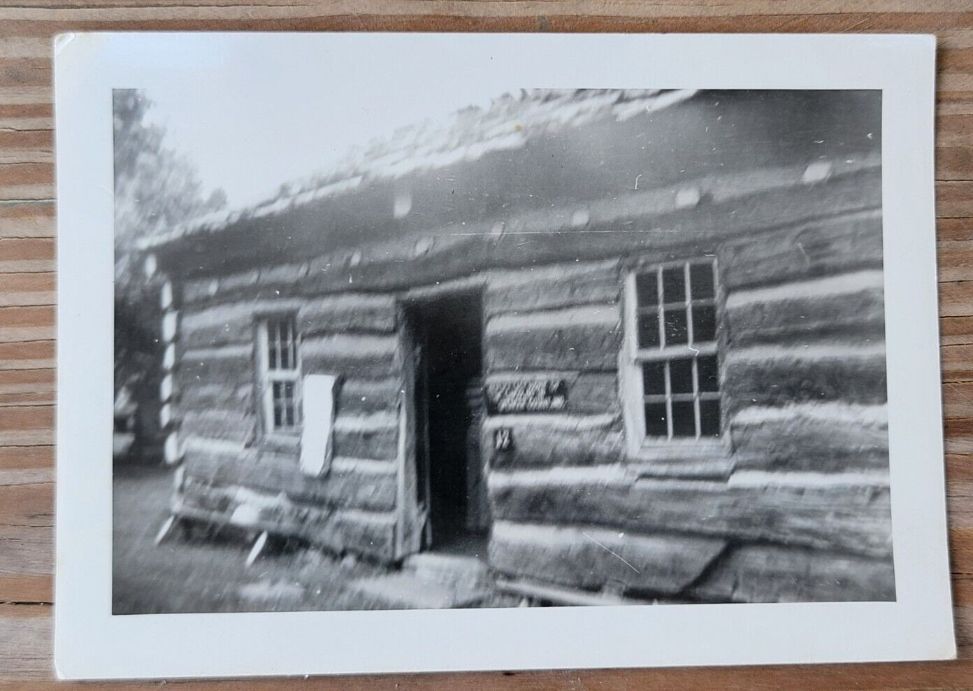 1940s Photograph Of Log Cabin In The Woods