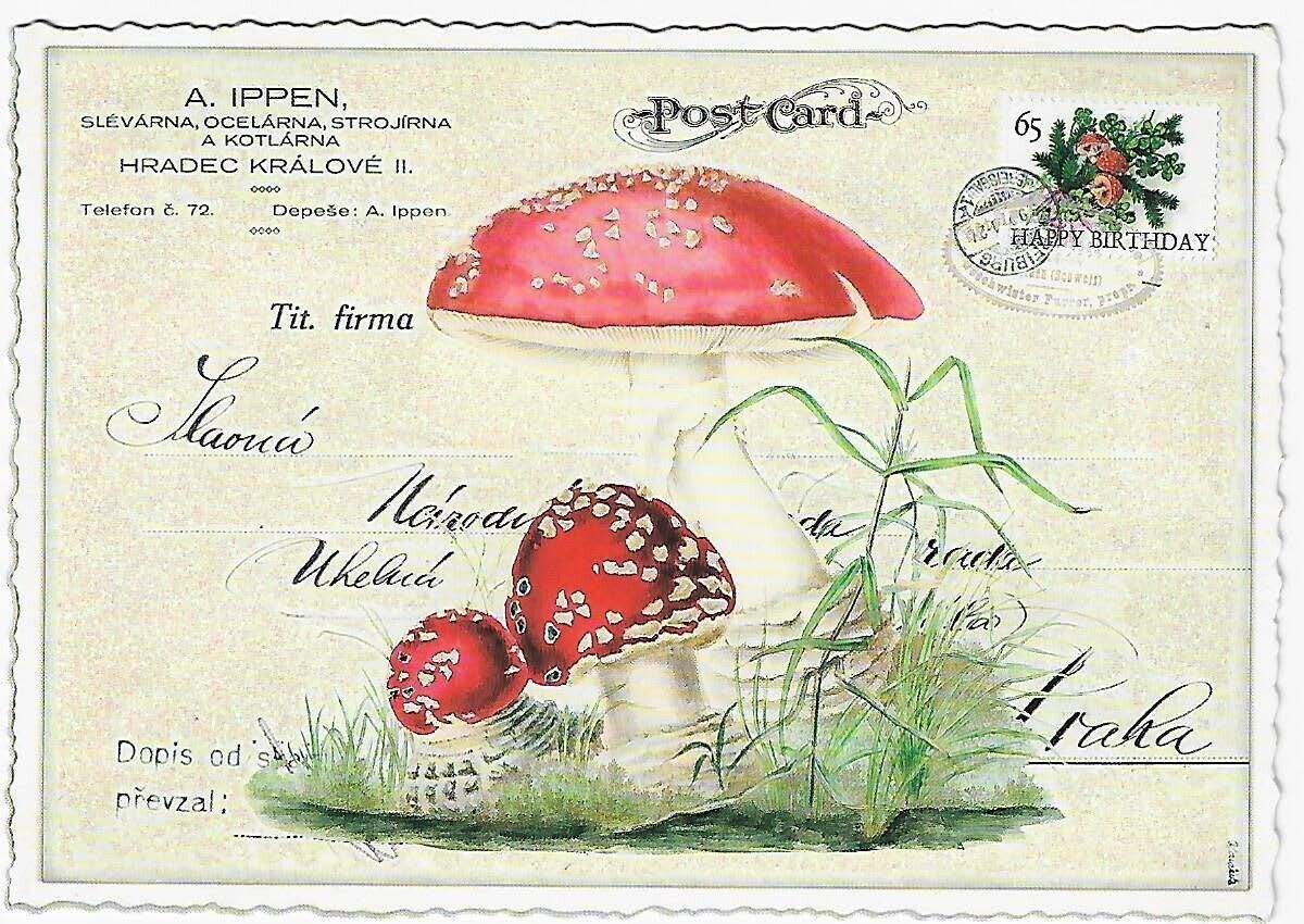 Postcard Glitter Tausendschoen Mushrooms  Postcrossing