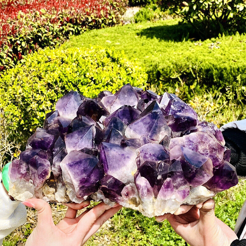 23.5LB Top natural violet quartz cluster mineral specimen Reiki healing