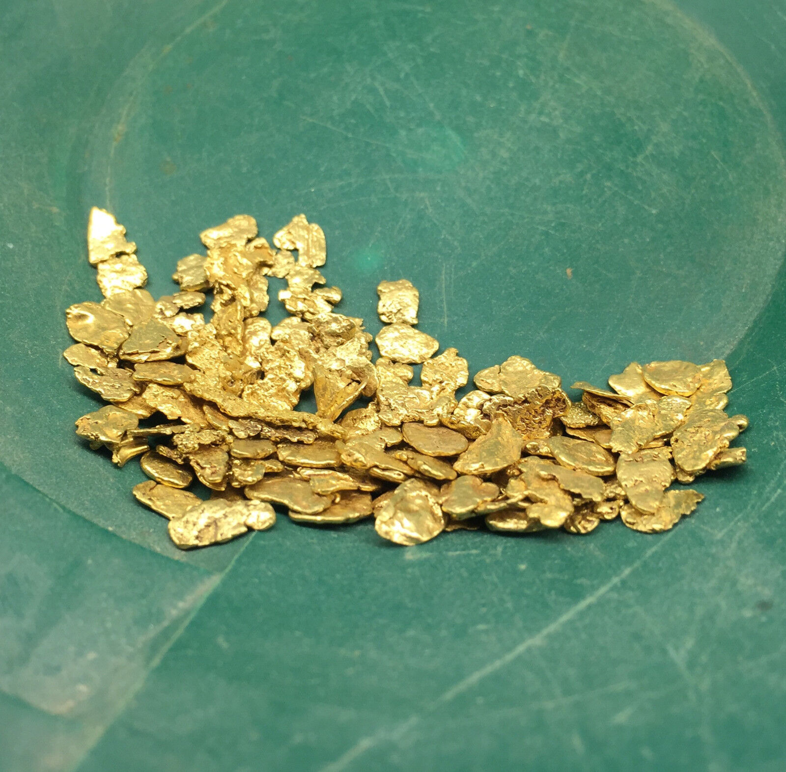 5 LB JACKPOT PAYDIRT ™ Gold Panning Concentrate - Find Nuggets Flakes Specimen