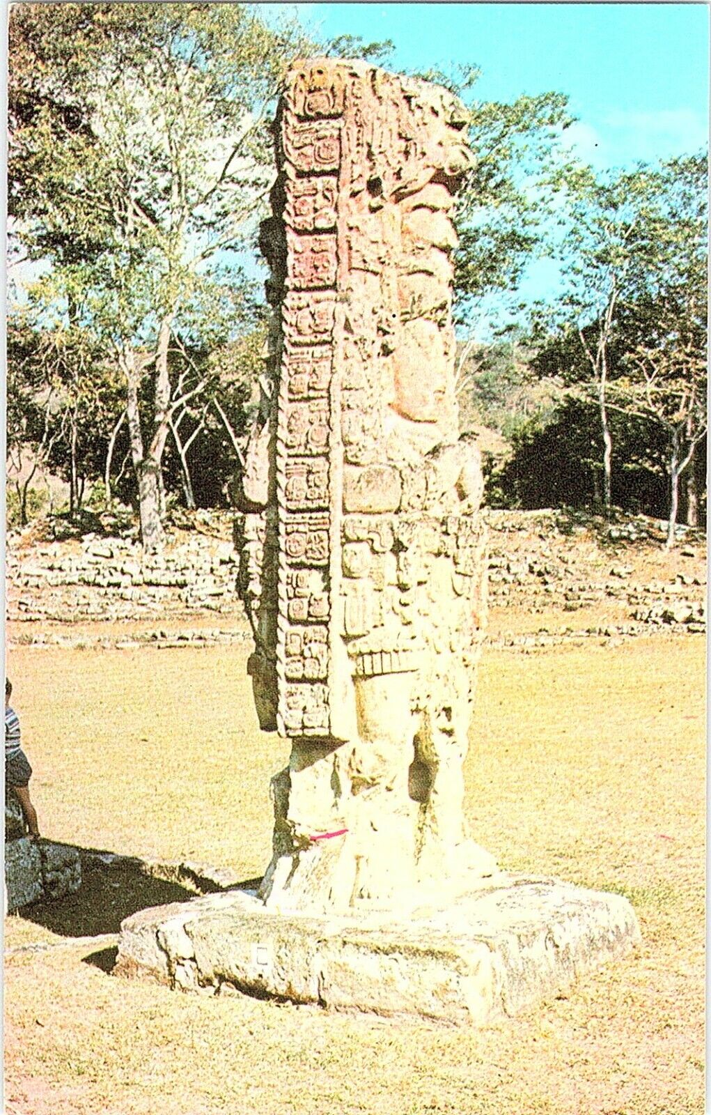 Postcard Copán Ruinas Copan Honduras Detail Of Stellae Copan Side View