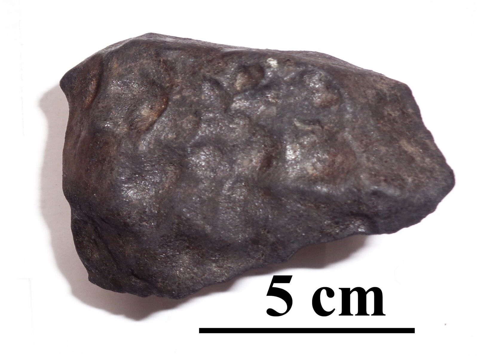 NEWEST OZERKI meteorite L6, fall June 21, 2018, Russia, individual 289 grams