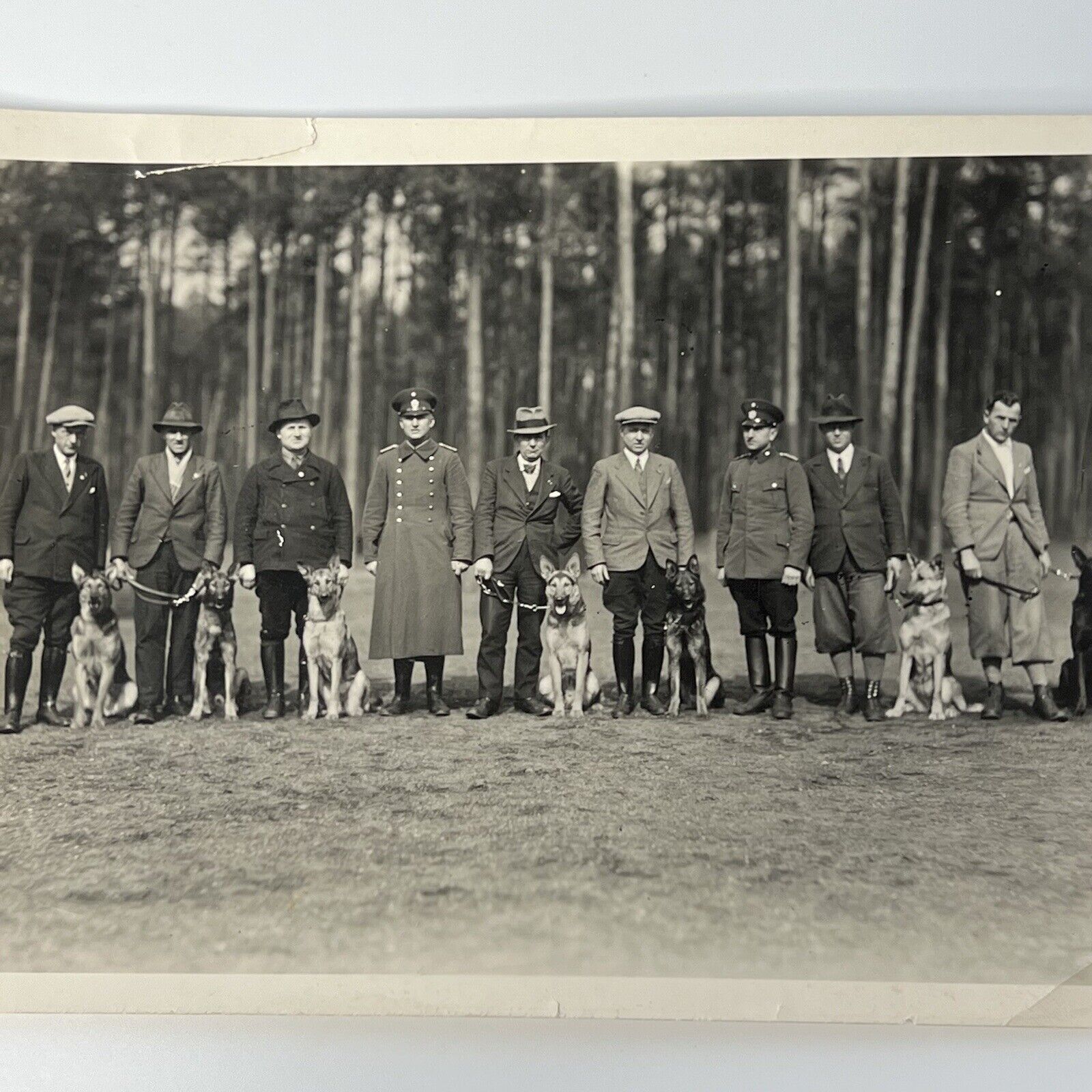 Vintage B&W Snapshot Photograph Men & German Shepard Dogs Military Police? WW2?