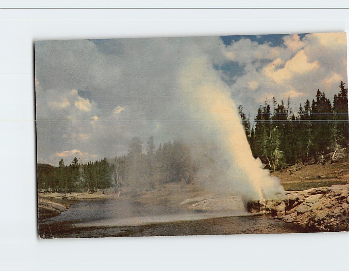 Postcard Riverside Geyser Yellowstone National Park Wyoming USA