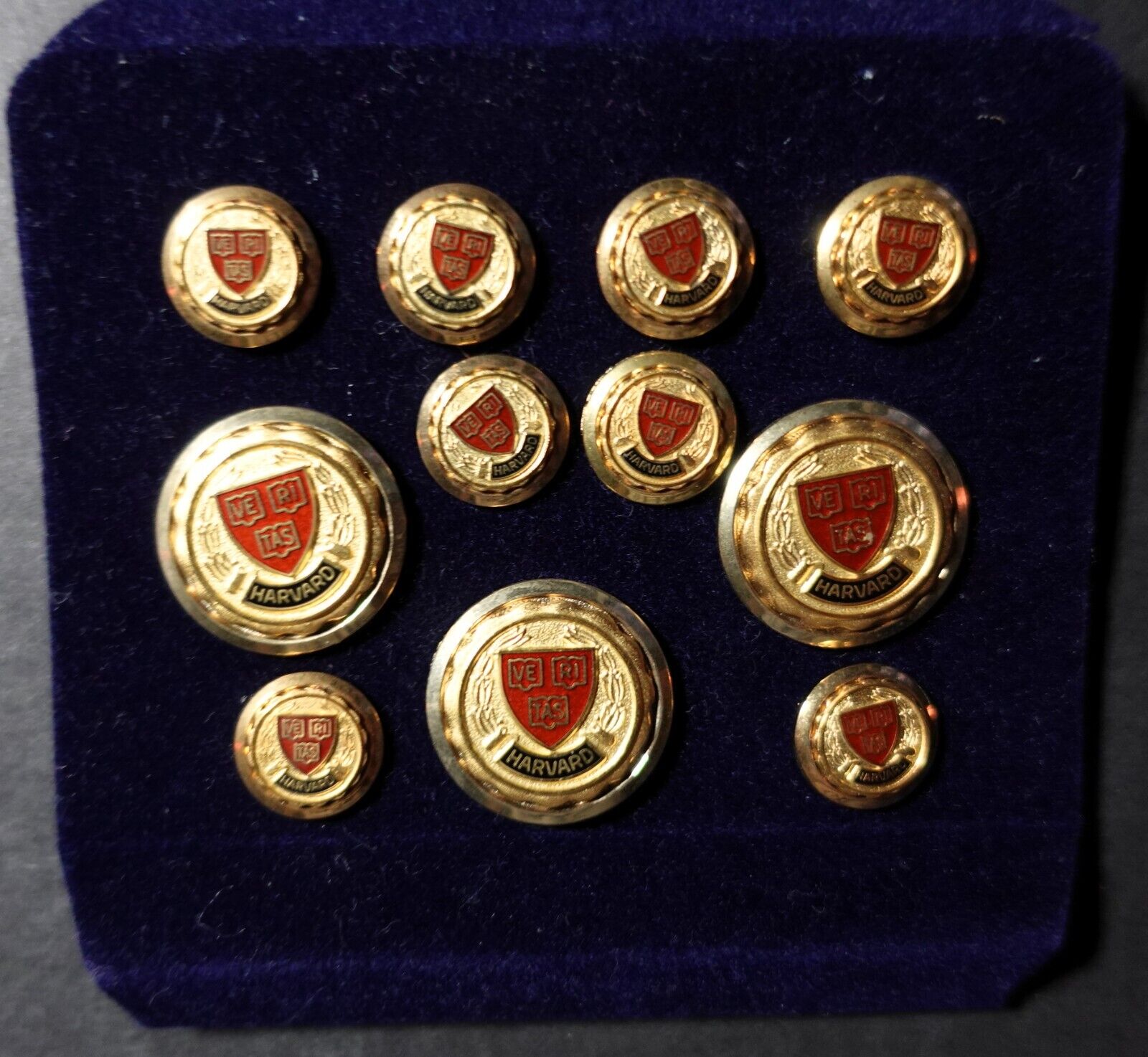 Harvard University Crest 11 Button Set Gold Plated Extremely Rare Find