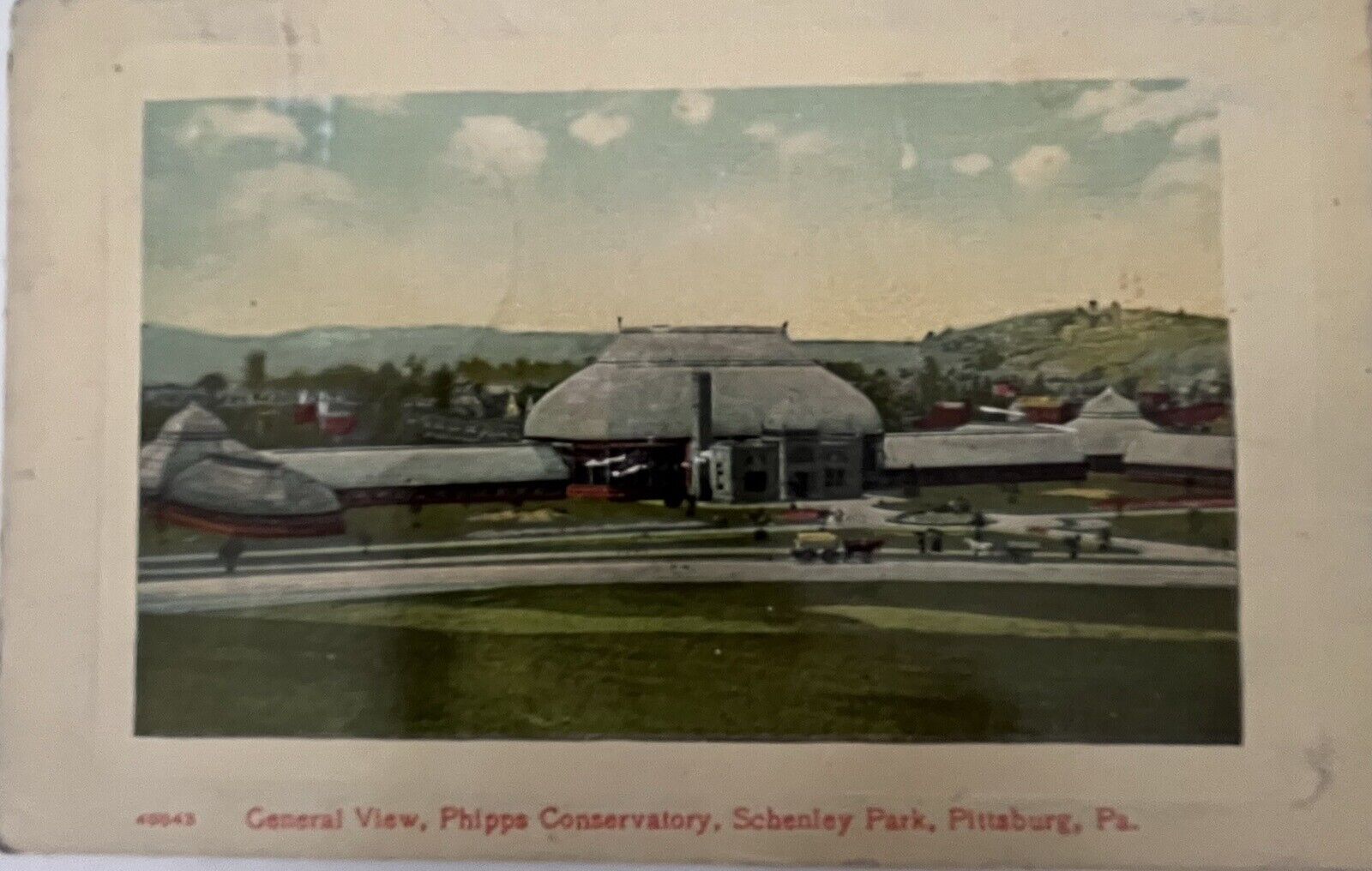 Antique Postcard Phipps Conservatory, Schenley Park,Pittsburg, PA c1910 Litho