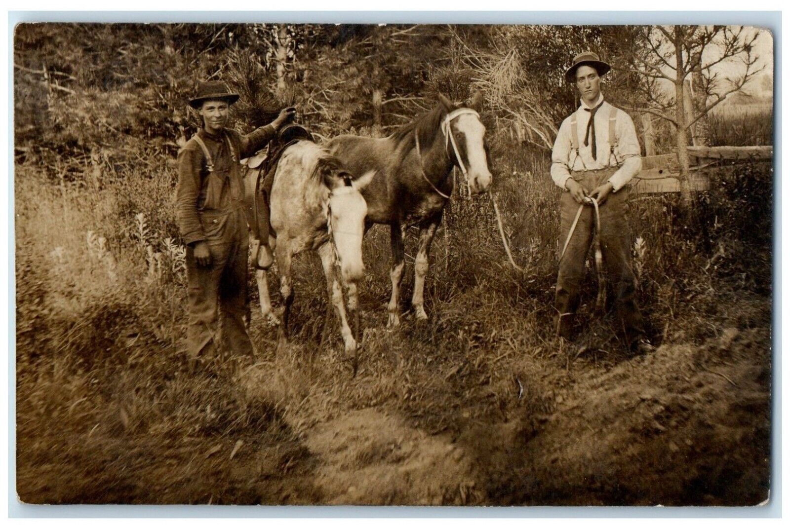 c1910's Boys Horses Pine City Washington WA DPO RPPC Photo Antique Postcard