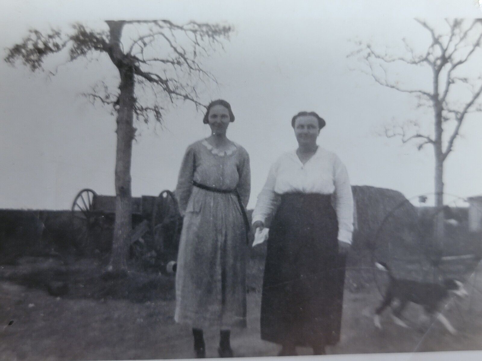 Edwardian Era Snapshot West Texas Farm Women Antique Photo Wagon Dog Homestead