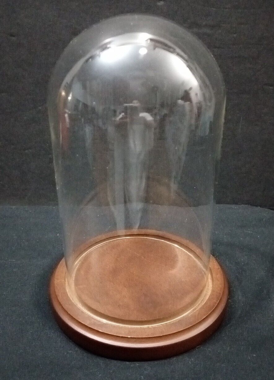 Vintage Bard\'s Glass Domed Display Cloche Wood Base 