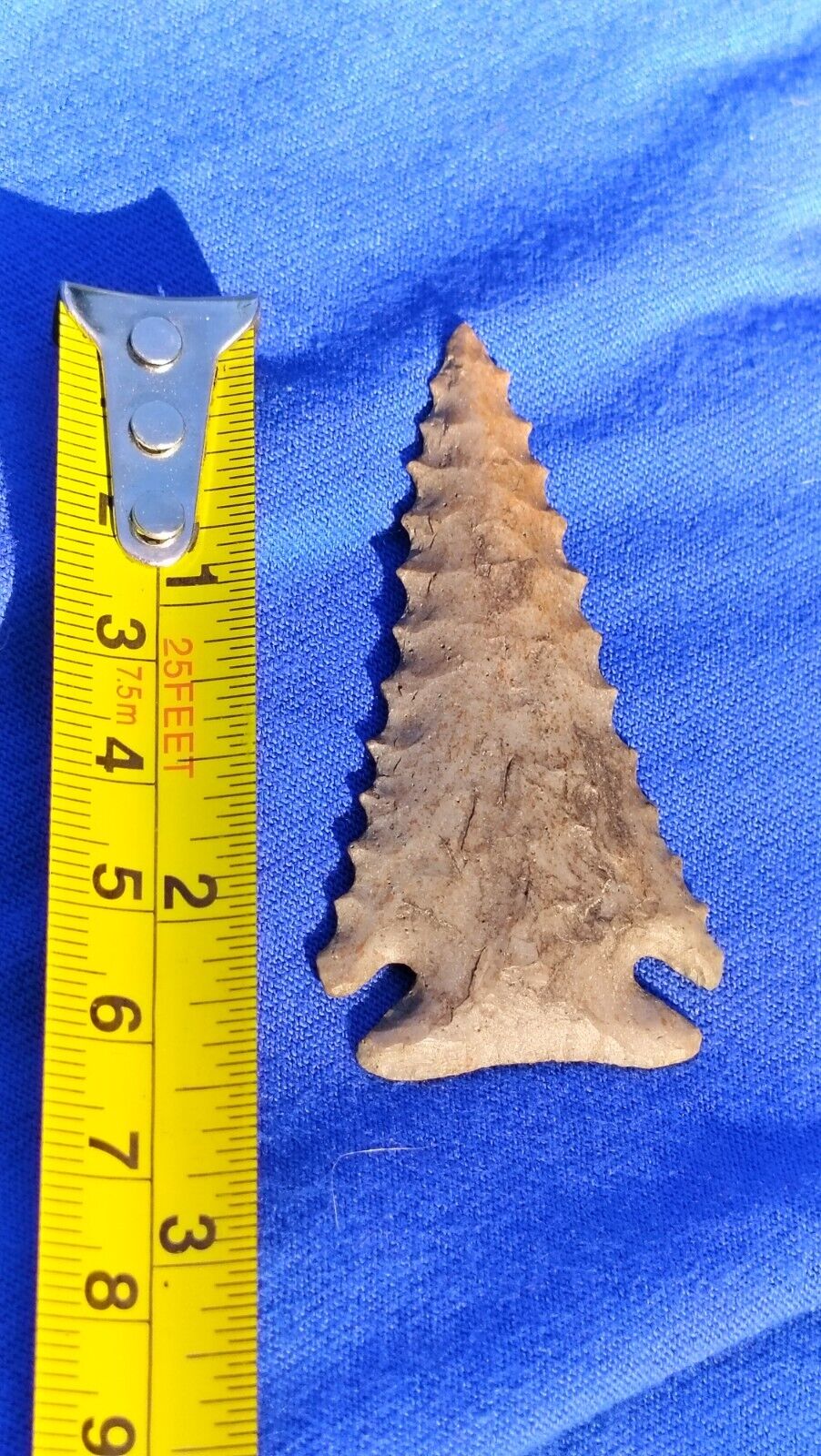 Arrowheads Collections Artifacts Relics Serrated Pine Tree 2.25\