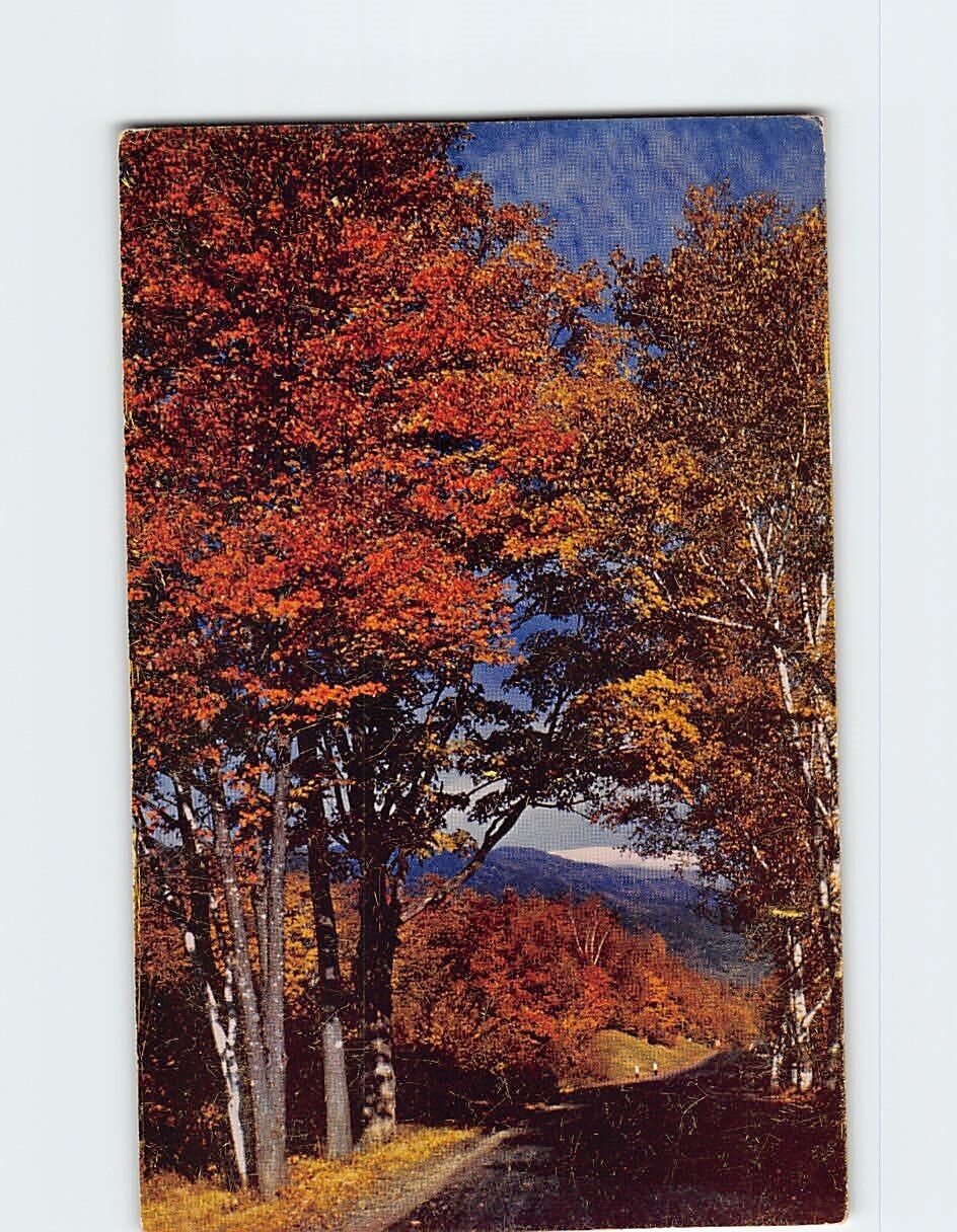 Postcard Fall Nature Scene New England USA