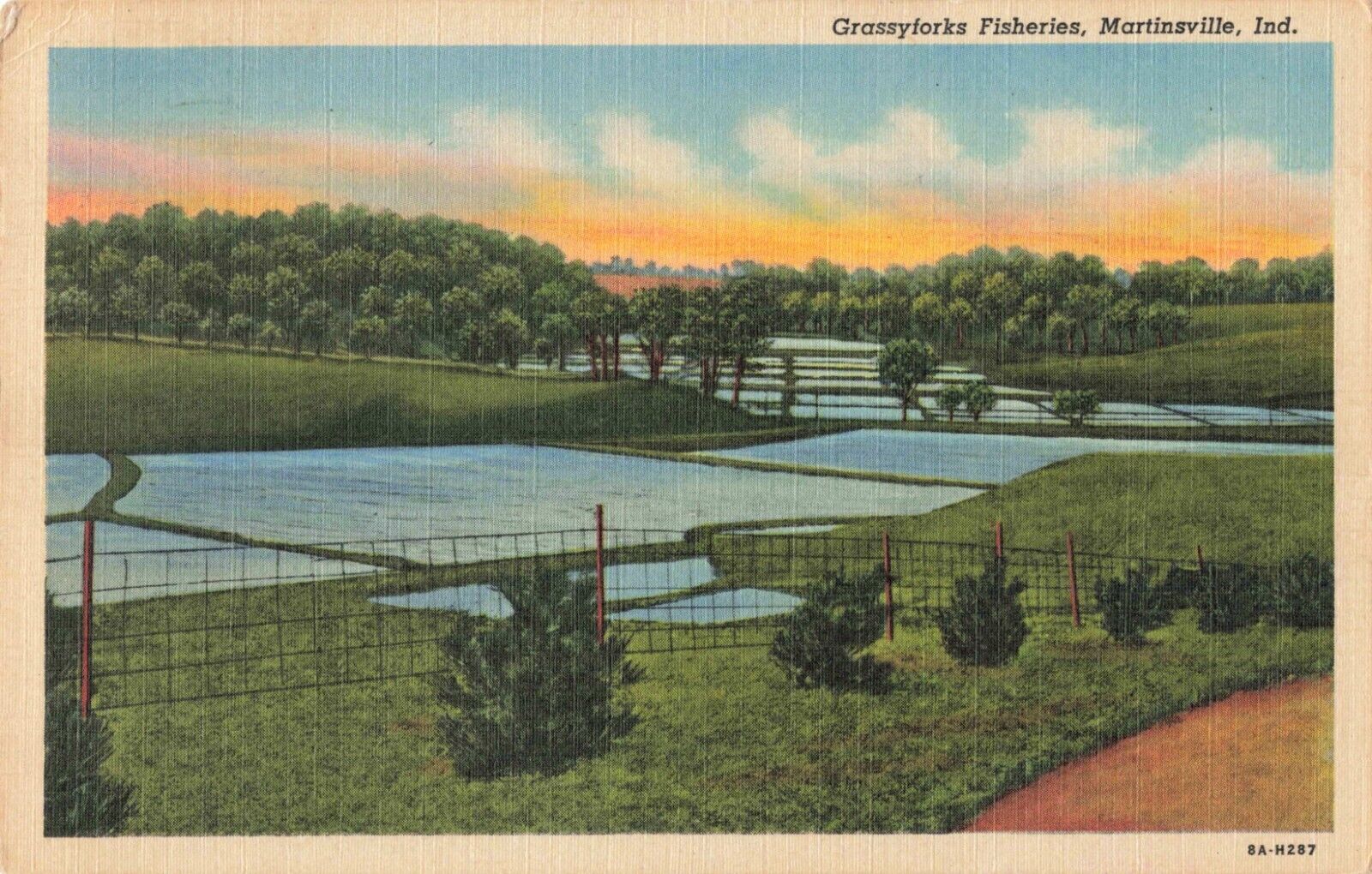 Martinsville IN Indiana, Grassyforks Fisheries, Scenic View, Vintage Postcard